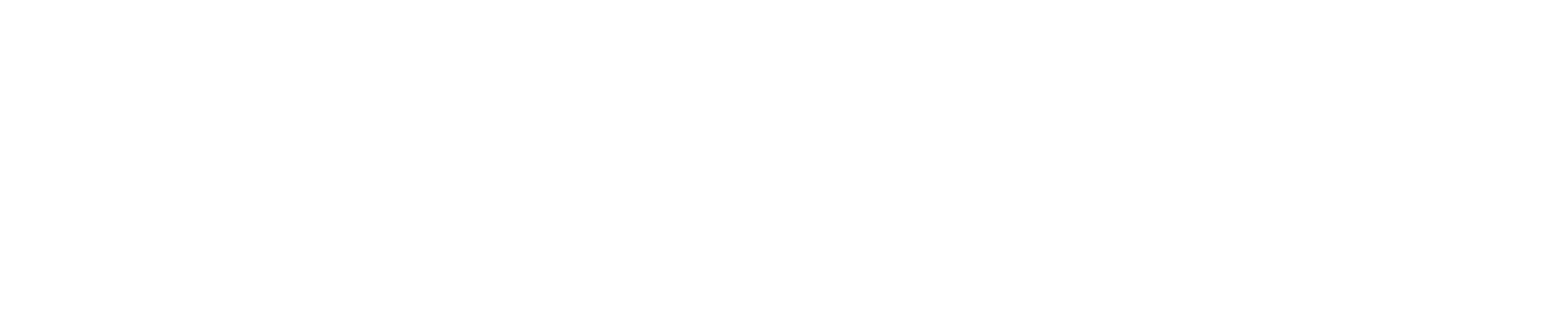 Viaje Internacional Amco